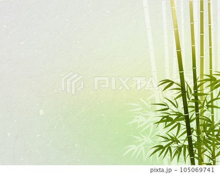竹の葉と影のある風景 105069741