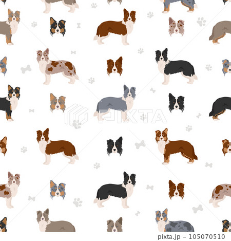 Border collie clipart. Different poses, coat colors set 105070510