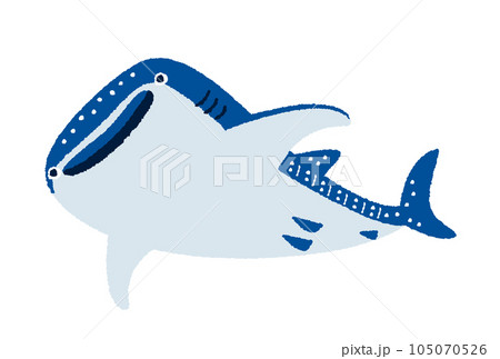 斜め下から見たジンベエザメの手描きイラスト 斜め下から見たジンベエザメの手描きイラスト 105070526