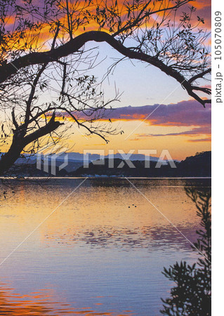 晩秋の湖山池の夕景 鳥取県 湖山池 水彩画 晩秋の湖山池の夕景 鳥取県 湖山池 水彩画 105070809