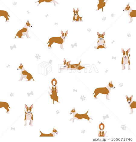Bull terrier seamless pattern. Different poses, coat colors set. 105071740