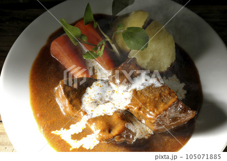 クレソン、人参、ジャガイモの付け合わせと生クリームがけの厚切り牛タンの熱々ビーフシチューを俯瞰で撮影 105071885