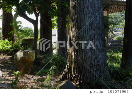 ロマンチック茨城(笠間市箱田の木村武山の邸内に建立された大日堂の参道を狛犬ならぬ羊が守っていた。) ロマンチック茨城(笠間市箱田の木村武山の邸内に建立された大日堂の参道を狛犬ならぬ羊が守っていた。) 105071962