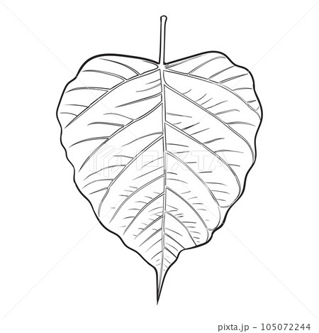 Pretty Popular Peepal Leaf Art For A Pristine Effect - Bored Art