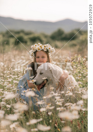 Girl dog meadow chamomile. Child girl embraces her furry friend Maremma Sheepdog in a serene chamomile field, surrounded by lush greenery. Love and companionship between a girl and her dog. 105072919
