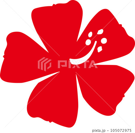 ハイビスカス 105072975