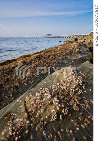 若松区北海岸、脇田漁港周辺の風景 若松区北海岸、脇田漁港周辺の風景 105073617