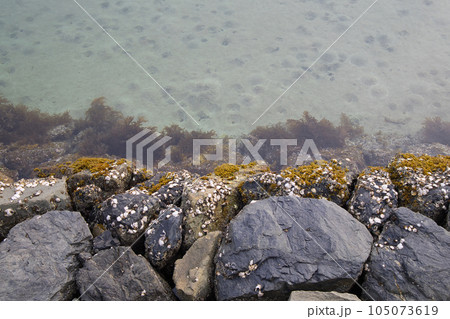 若松区北海岸、脇田漁港周辺の風景 105073619
