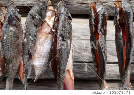 salted fish, dried fish, dried fish dries in the sun, beer appetizer 105075371