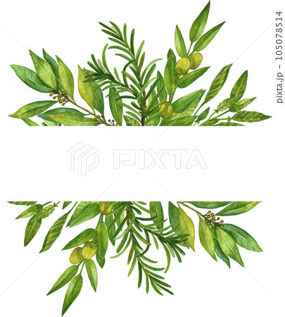 Watercolor herb illustration. A bunch of fresh culinary and medicinal herbs. Floral design for wedding invitations, greeting cards, prints, postcards, social media posts. Sage, rosemary, thyme, basil. Watercolor herb illustration. A bunch of fresh culinary and medicinal herbs. Floral design for wedding invitations, greeting cards, prints, postcards, social media posts. Sage, rosemary, thyme, basil. 105078514