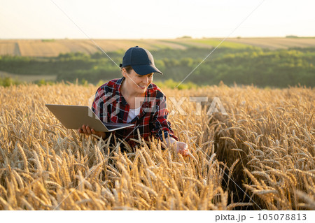 Woman farmer working with laptop on wheat field. Smart farming and digital agriculture Woman farmer working with laptop on wheat field. Smart farming and digital agriculture 105078813