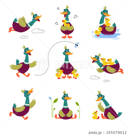 Funny Dabbling Duck Character Engaged in Different Activity Vector Set Funny Dabbling Duck Character Engaged in Different Activity Vector Set 105079012