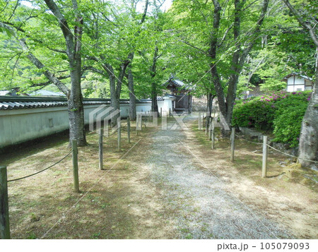 播磨 鶏籠山城・龍野城・龍野古城の曲輪と石垣・櫓・城門 105079093