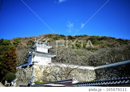 播磨 鶏籠山城・龍野城・龍野古城の曲輪と石垣・櫓・城門 播磨 鶏籠山城・龍野城・龍野古城の曲輪と石垣・櫓・城門 105079111