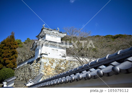 播磨 鶏籠山城・龍野城・龍野古城の曲輪と石垣・櫓・城門 播磨 鶏籠山城・龍野城・龍野古城の曲輪と石垣・櫓・城門 105079112