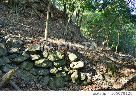 播磨 鶏籠山城・龍野城・龍野古城の曲輪と石垣・櫓・城門 播磨 鶏籠山城・龍野城・龍野古城の曲輪と石垣・櫓・城門 105079126