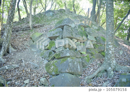 播磨 鶏籠山城・龍野城・龍野古城の曲輪と石垣・櫓・城門 播磨 鶏籠山城・龍野城・龍野古城の曲輪と石垣・櫓・城門 105079158