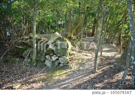 播磨 鶏籠山城・龍野城・龍野古城の曲輪と石垣・櫓・城門 105079167