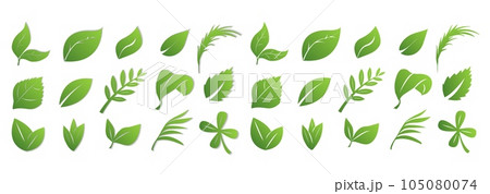 A set of green leaves on a white background with and without a shadow, for logos, designs, for the symbolism of the green planet A set of green leaves on a white background with and without a shadow, for logos, designs, for the symbolism of the green planet 105080074