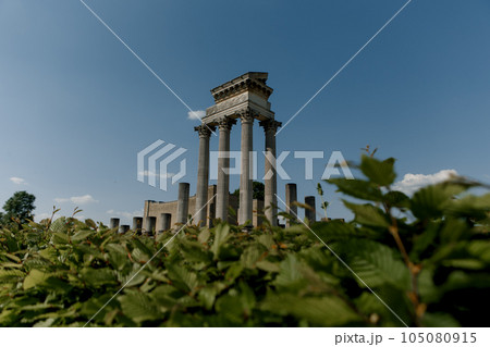 roman greek ancient architecture large columns fauna 105080915