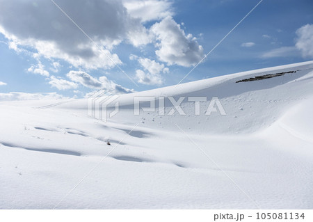 スノーシュートレッキングのイメージ 鳥取砂丘の雪景色 スノーシュートレッキングのイメージ 鳥取砂丘の雪景色 105081134