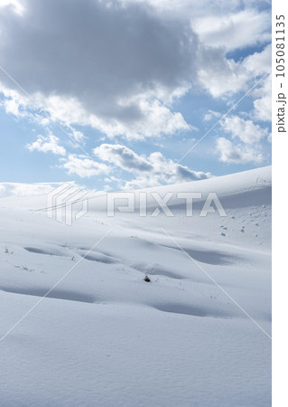 スノーシュートレッキングのイメージ　鳥取砂丘の雪景色  105081135