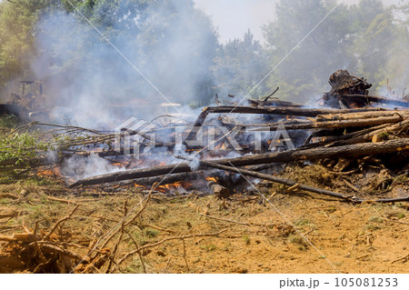 Preparation land for construction by burning downed trees in preparation for construction 105081253
