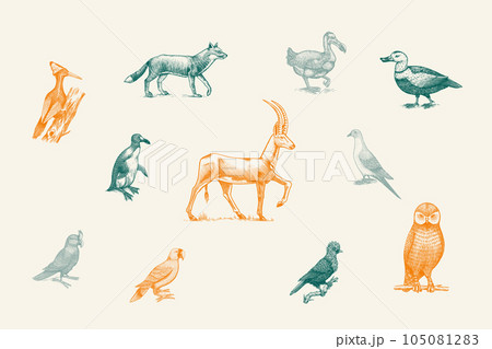 Extinct species. Wild mammal animals and birds. Dodo, Moa, Tasmanian wolf, Quagga. Aurochs. Blue Extinct species. Wild mammal animals and birds. Dodo, Moa, Tasmanian wolf, Quagga. Aurochs. Blue 105081283