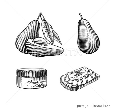 Tropical avocado. Set of evergreen fruit plant. Cosmetics for skin care. Organic oil in the bottle Tropical avocado. Set of evergreen fruit plant. Cosmetics for skin care. Organic oil in the bottle 105081427