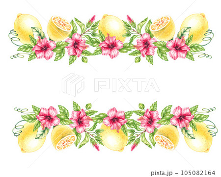 Watercolor Lemon and Hibiscus Flowers Frame 105082164