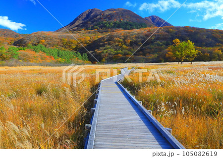 秋のタデ原湿原とくじゅう連山（大分県九重町） 105082619