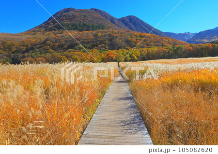 秋のタデ原湿原とくじゅう連山(大分県九重町) 秋のタデ原湿原とくじゅう連山(大分県九重町) 105082620