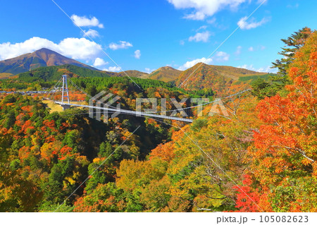 秋の九重夢大吊橋(大分県九重町) 秋の九重夢大吊橋(大分県九重町) 105082623