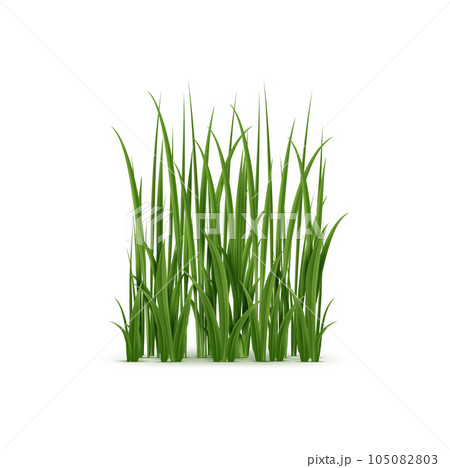 Realistic grass, lush green blades with soft texture. Isolated 3d vector ground cover provides a peaceful, natural setting in various environments such as meadows, gardens, and parks Realistic grass, lush green blades with soft texture. Isolated 3d vector ground cover provides a peaceful, natural setting in various environments such as meadows, gardens, and parks 105082803