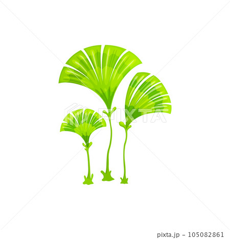 Cartoon underwater seaweed plant, aquarium or sea algae. Aquarium marine flora, tropical sea aquatic seaweed or ocean water deep weed, coral reef underwater isolated vector algae plant 105082861