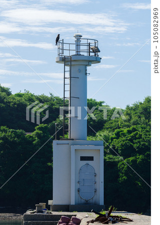 佐久島　東港の防波堤にある灯台（愛知県） 105082969
