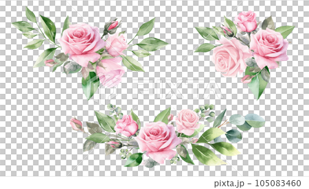 Watercolor painting of pink roses. Set of... - Stock Illustration ...