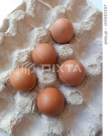 Flatlay of eggs in paper tray 105083597
