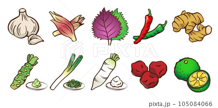 薬味のイラスト 105084066