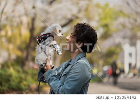 公園でペットの愛犬を抱き上げる男性 公園でペットの愛犬を抱き上げる男性 105084142