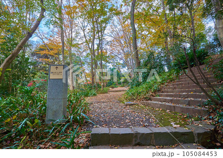 秋の東京都世田谷区の等々力渓谷公園の等々力渓谷1号、2号横穴案内板 105084453