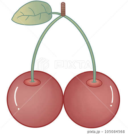 Fruit 105084568