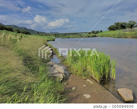 山城日本一の月山富田城下を流れる夏の富田川 山城日本一の月山富田城下を流れる夏の富田川 105084930