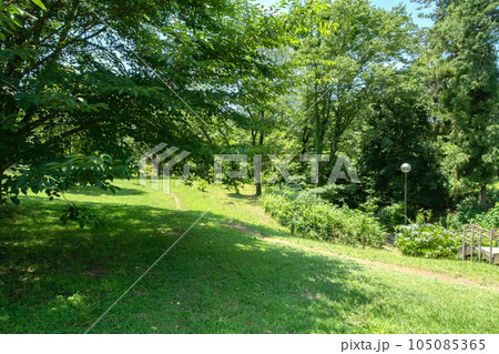 埼玉県営狭山稲荷山公園と狭山市立博物館 105085365
