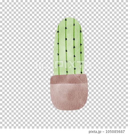 Cactus 105085687