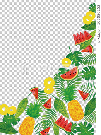 水彩觸摸熱帶樹葉和夏季水果背景框架 105086152