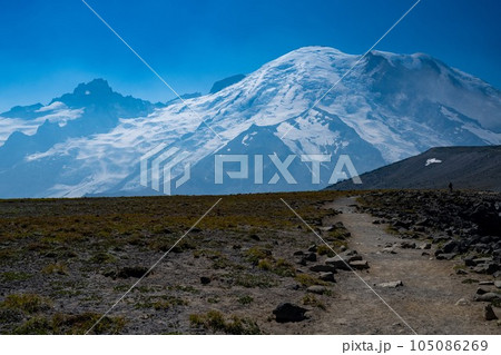 アメリカ　ワシントン州　ナショナルパーク　マウントレニエ国立公園 105086269