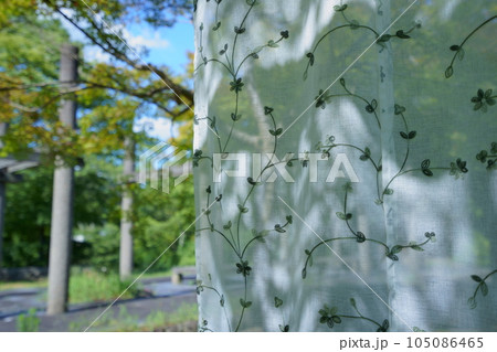 夏の縁側・こもれびが透けるレースのカーテン 105086465