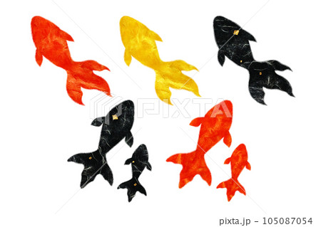 金魚 105087054