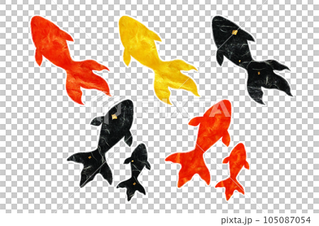 金魚 105087054